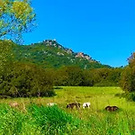 L'aravone