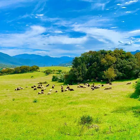 Aparthotel L'aravone Sartène