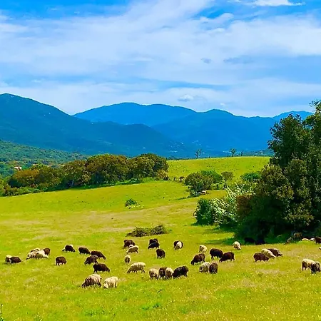 L'aravone 3* Sartène