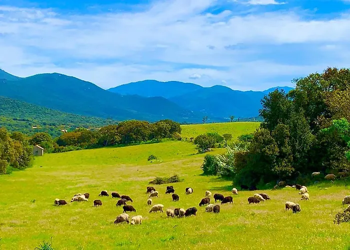 L'aravone 3* 萨尔泰纳