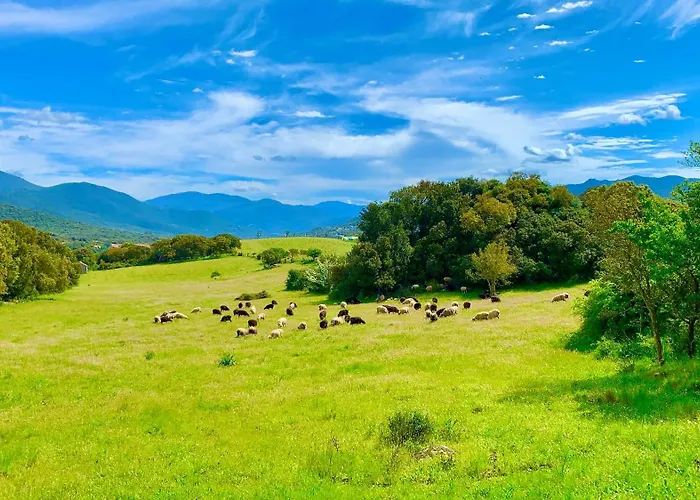 公寓式酒店 L'aravone 萨尔泰纳